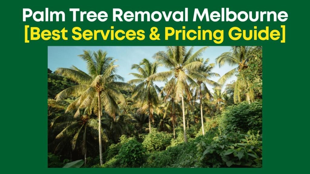 Palm Tree Removal Melbourne
