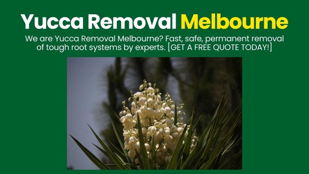 Yucca Removal Melbourne